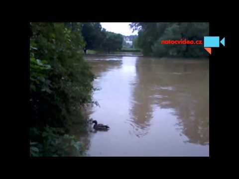 Video: Povodne V Rusku - Alternatívny Pohľad