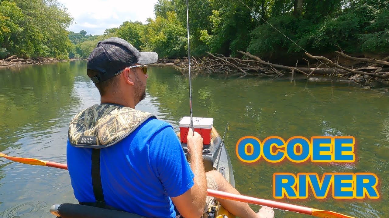 This Beautiful River has BIG Bass…