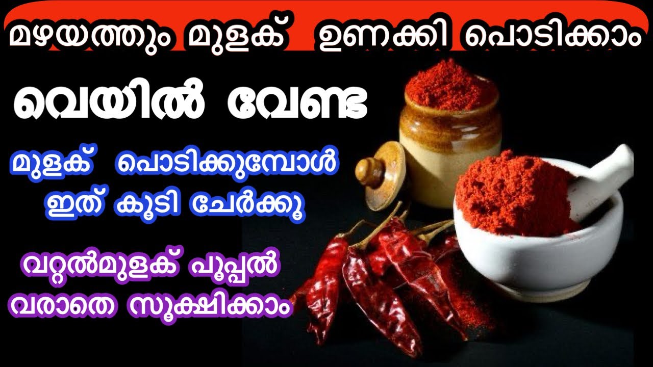 ഇനി ഏതുമഴയത്തും മല്ലി,മുളക്,ഗോതമ്പ്,പഞ്ഞപ്പുല്ല് ഉണക്കിപൊടിക്കാം How To Dry Chillies In Rainy Season