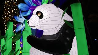 Media B-roll for ZooLights