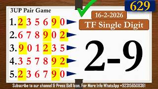 Thailand Lottery 3UP | TF Single Digit Pair Special| Thai Lottery 1234 Tips 16-2-2026 screenshot 1
