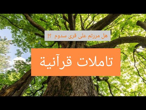 وإنكم لتمرون عليهم مصبحين وبالليل أفلاتعقلون