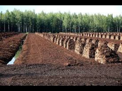 Is Peat moss Sustainable?