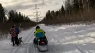 Покатушки на снегоходах по лесу. 🌳следы лосей 🫎 новые маршруты 🗺️