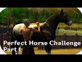 Perfect Horses Challenge - A new start! ||Sims 3||