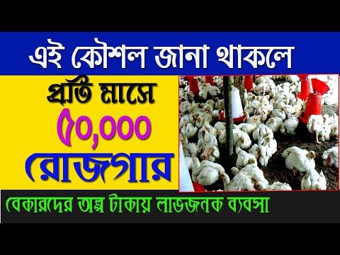 ভিডিও: আমি কিভাবে একটি DZ লাইসেন্স পেতে পারি?