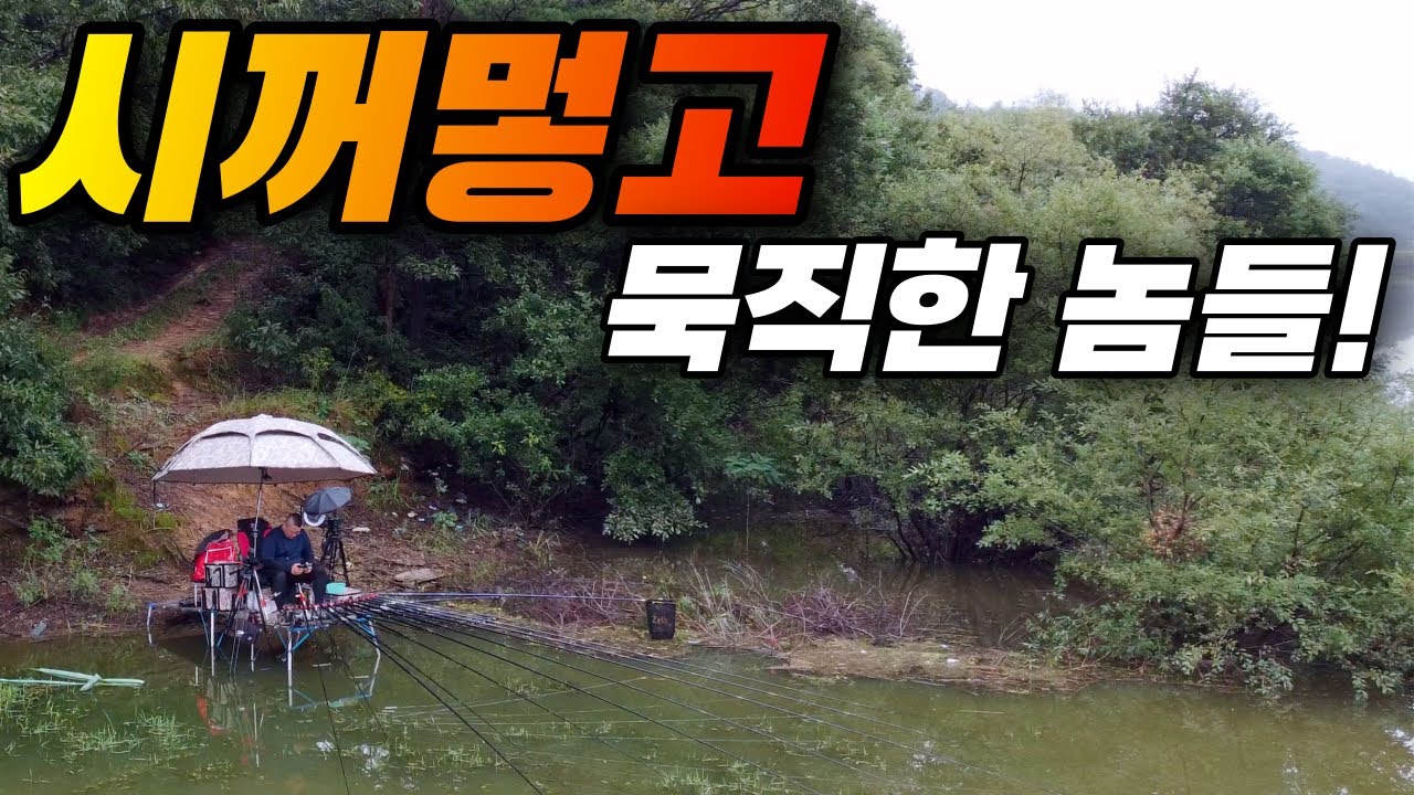 그놈들의 아지트를 털다! / 구미 5짜터 붕어낚시 - YouTube