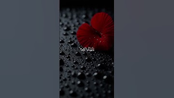 # قرآن كريم { سورة التوبة - الآية 82 } القارئ أحمد بن علي العجمي .