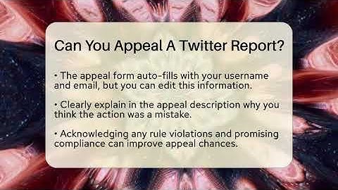 Can You Appeal A Twitter Report? - Everyday-Networking