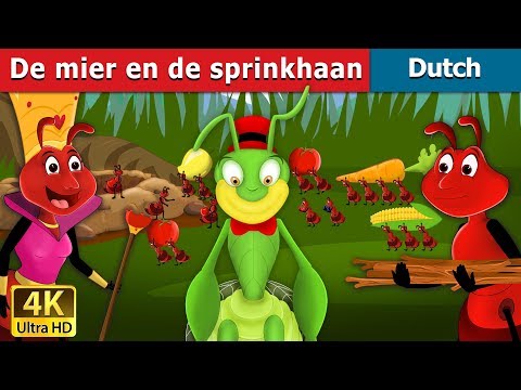 De mier en de sprinkhaan | The Ant And The Grasshopper Story in Dutch | Dutch Fairy Tales