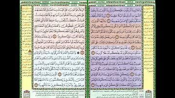 سورة النساء - عبد العزيز الأحمد - ختمة الحفظ المنوعة للقرآن الكريم - مصحف التقسيم الموضوعي