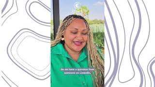 Tax Tuesday Episode 1: Are you a provisional taxpayer?