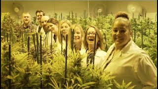 Denver Colorado Cannabis Tours