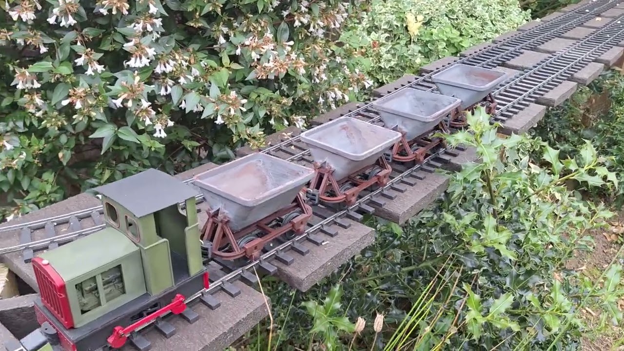 3d printed G Scale loco and wagons on garden railway