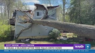 Tree crashes into Maryland home, killing man and seriously injuring woman