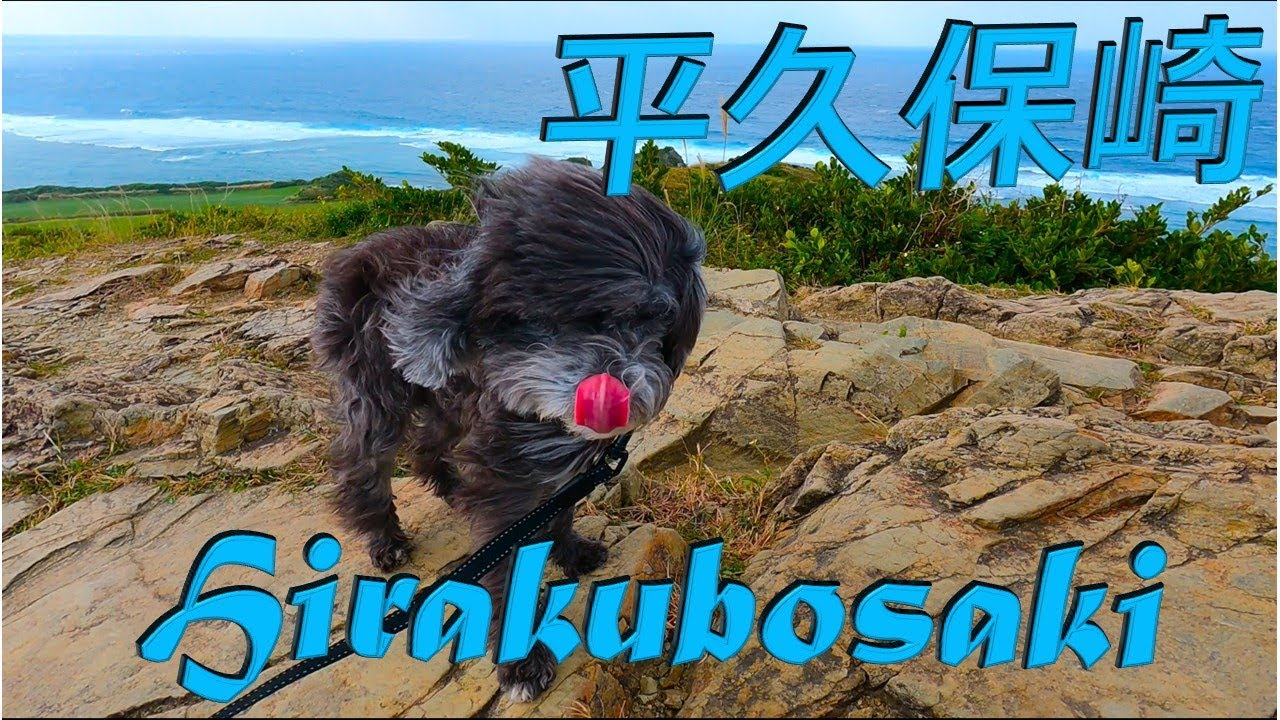 2qq Iyadkc7tjm 2qq Iyadkc7tjm