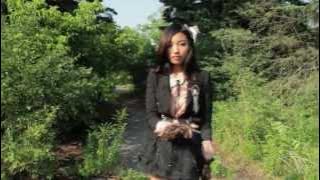 Primary (YUIKO) - butterfly