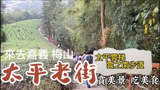 【嘉義梅山 太平老街】壯麗的太平雲梯 美麗的雲之南道 古味十足的太平老街 超讚一日遊！壮大な太平雲梯、美しい雲の南道、そして風情ある太平老街。