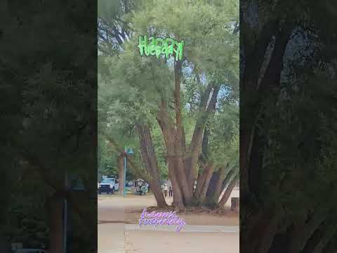 New 2025 September Newvideo Reels Shorts Sun Foryoupage Toronto Summer Travel Beach