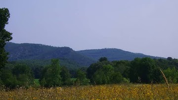 Improvisation LXV for DSI Prophet 