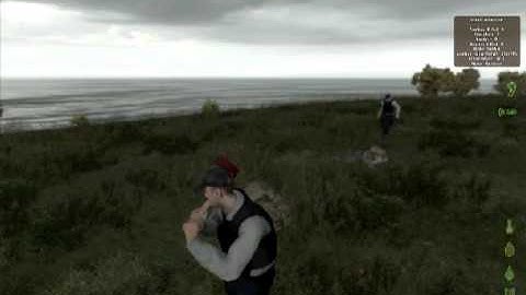 DayZ hatchet kill