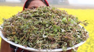 FARM FRESH winter vegetable fry recipe village style Yummy & Delicious Seci shak vaji Village Food