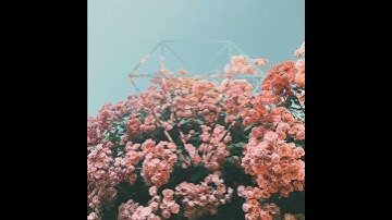 سورة الكوثر بصوت عبد الباسط عبد الصمد