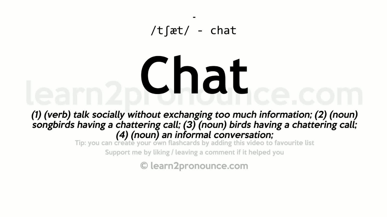 Definition chat