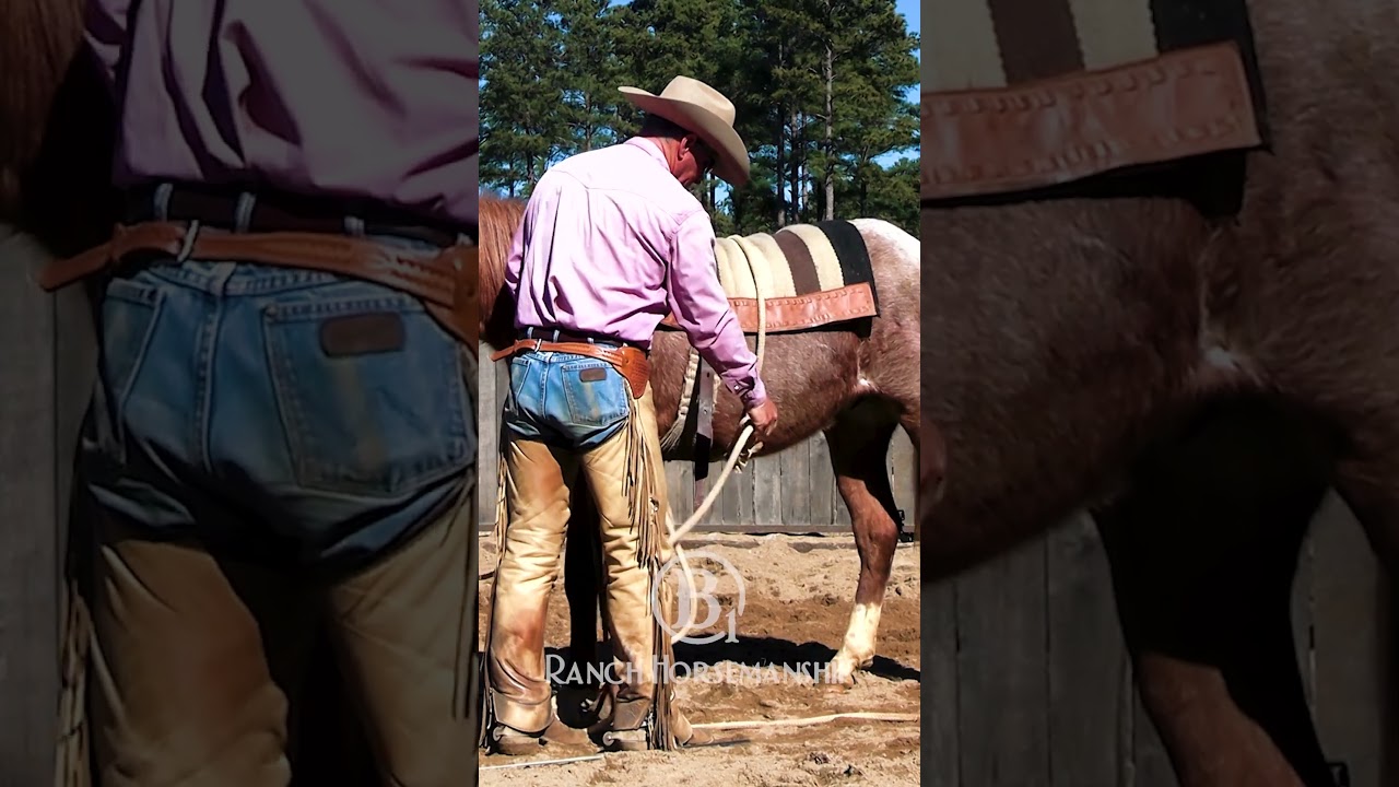 The flank rope is super helpful.  