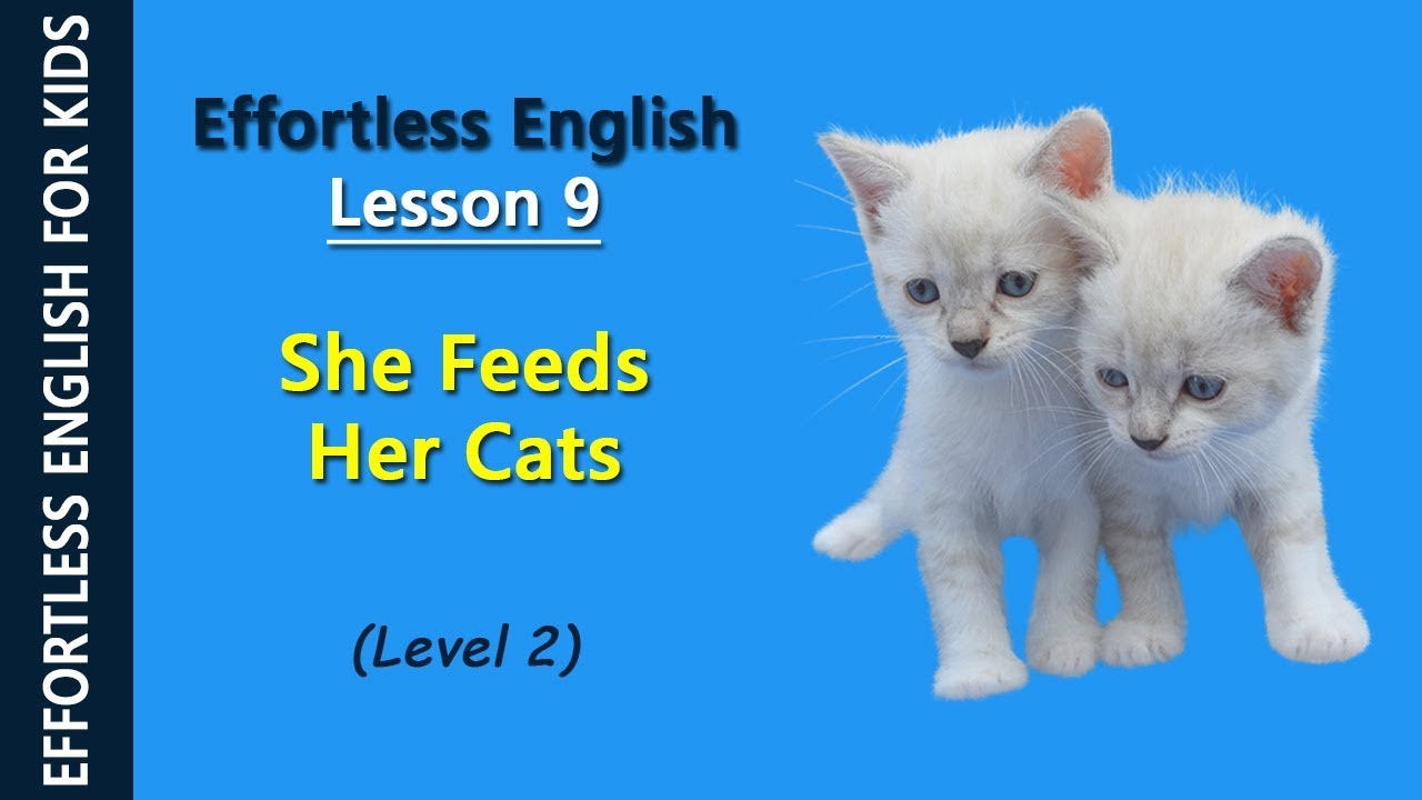 She her cats to feed. Женщина кормит животных. Кошку дикарку какая живет дома. Женщина выкормила кошку. How often cats/should feed.