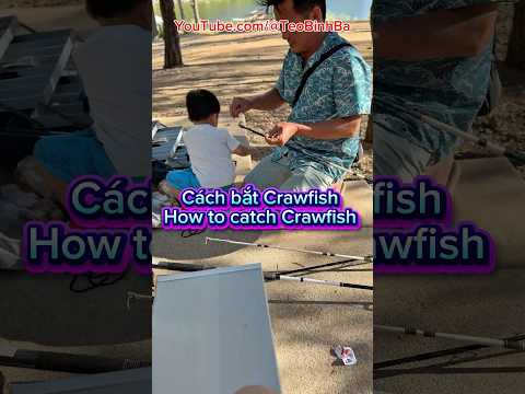 Cách bắt Crawfish!!! Hơ to catch crawfish