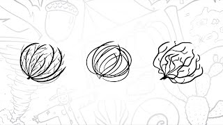 How To Draw A Simple Tumbleweed Step-By-Step Lesson