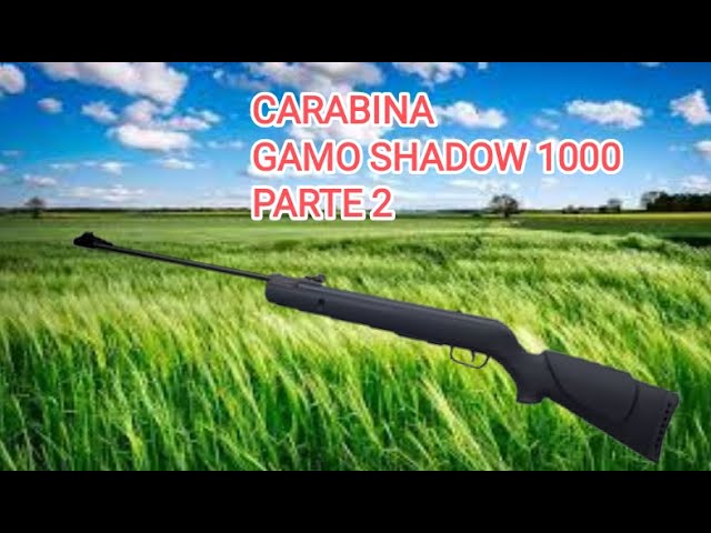 Test de la carabine Black Shadow IGT de Gamo