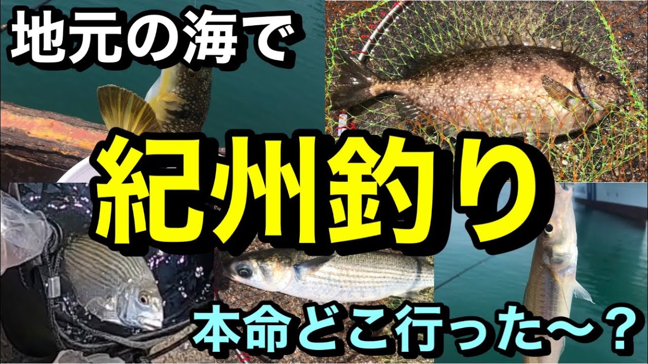 久しぶりに地元で紀州釣り チヌ釣り 本命どこ行った 山陰釣り新報
