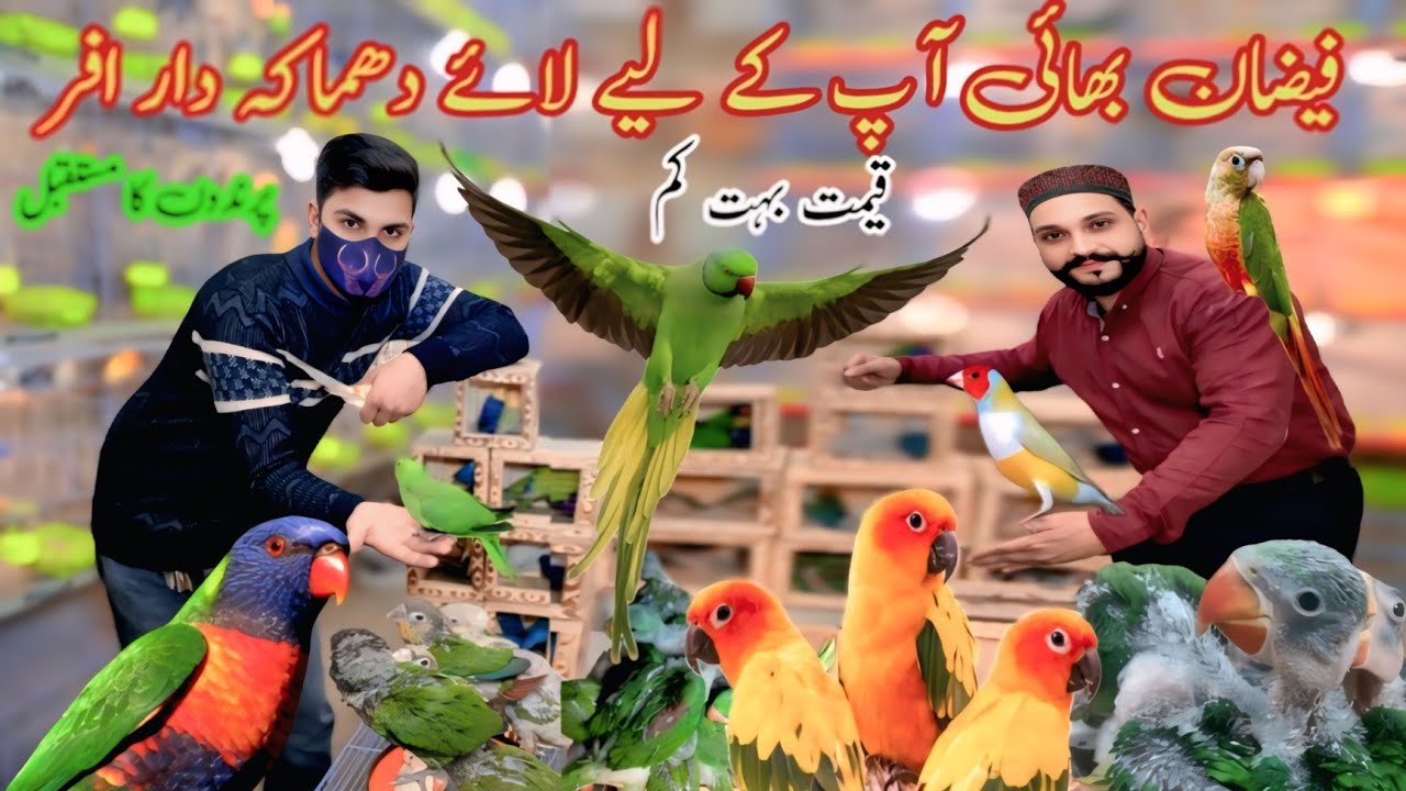 فیضان بھائی اپ کے لیے لائے ایک دھماکہ دار ڈیل اور افر قیمت بہت کم یہ سب آپ کے لیے ہے