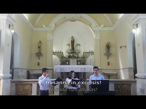 Missa VIII (De