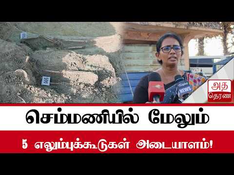 530 மனித எலும்புக்கூடுகள் முற்றாக அகழ்ந்தெடுப்பு