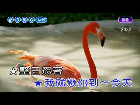 一把情種~陳小雲~男C調~伴奏~導唱丙