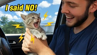 When Your Cats Start Talking Back… and Never Stop 😹