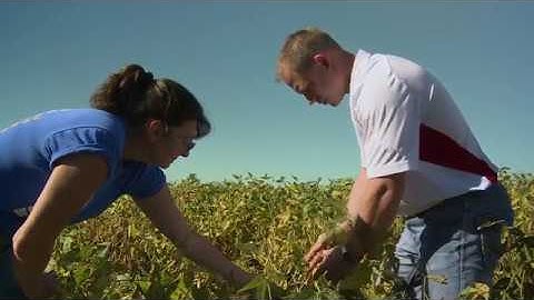 Hail Events and Crop Damage