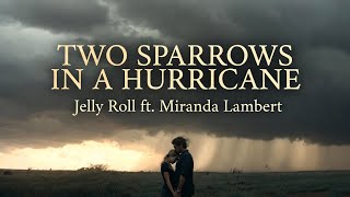 Two Sparrows in a Hurricane - Jelly Roll ft. Miranda Lambert(Fan-made / AI-inspired country duet )