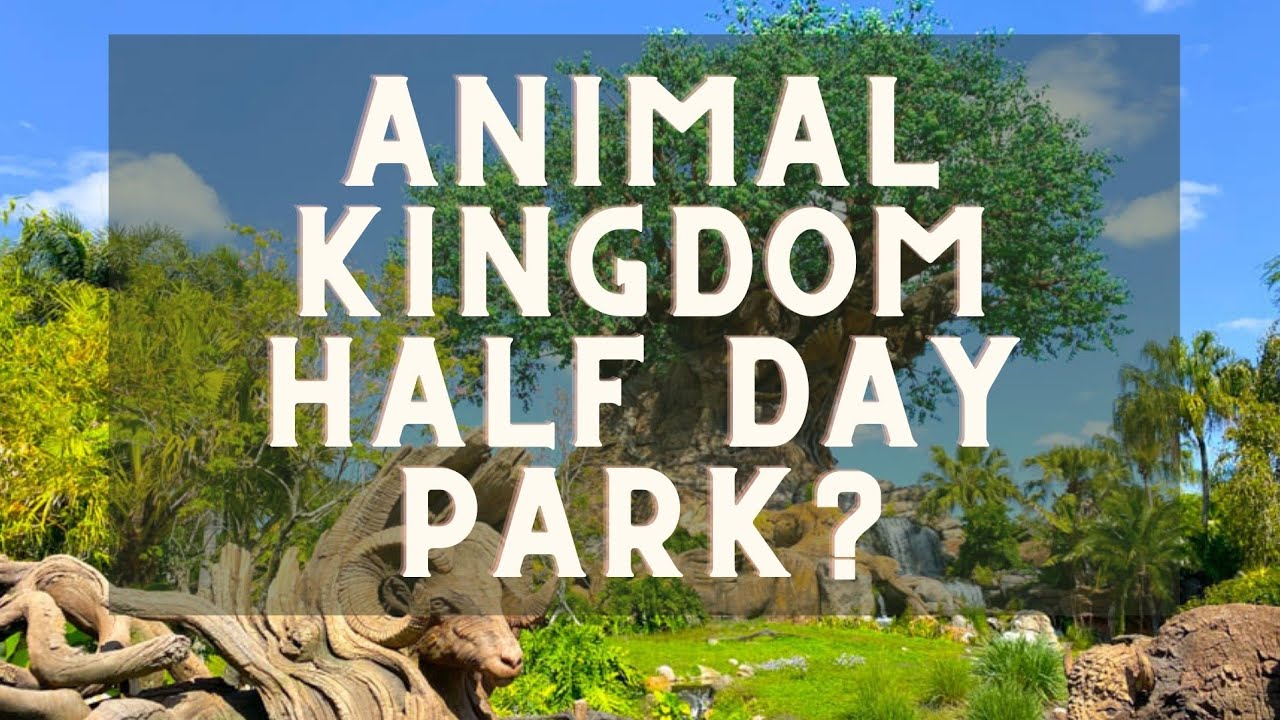 Is Animal Kingdom a half day park? 4 hours in Disney's Animal Kingdom