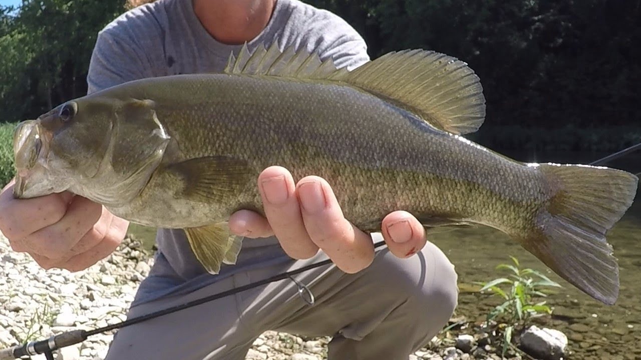 Creek Fishing - My Top 3 Favorite Small Creek Lures For Bass 