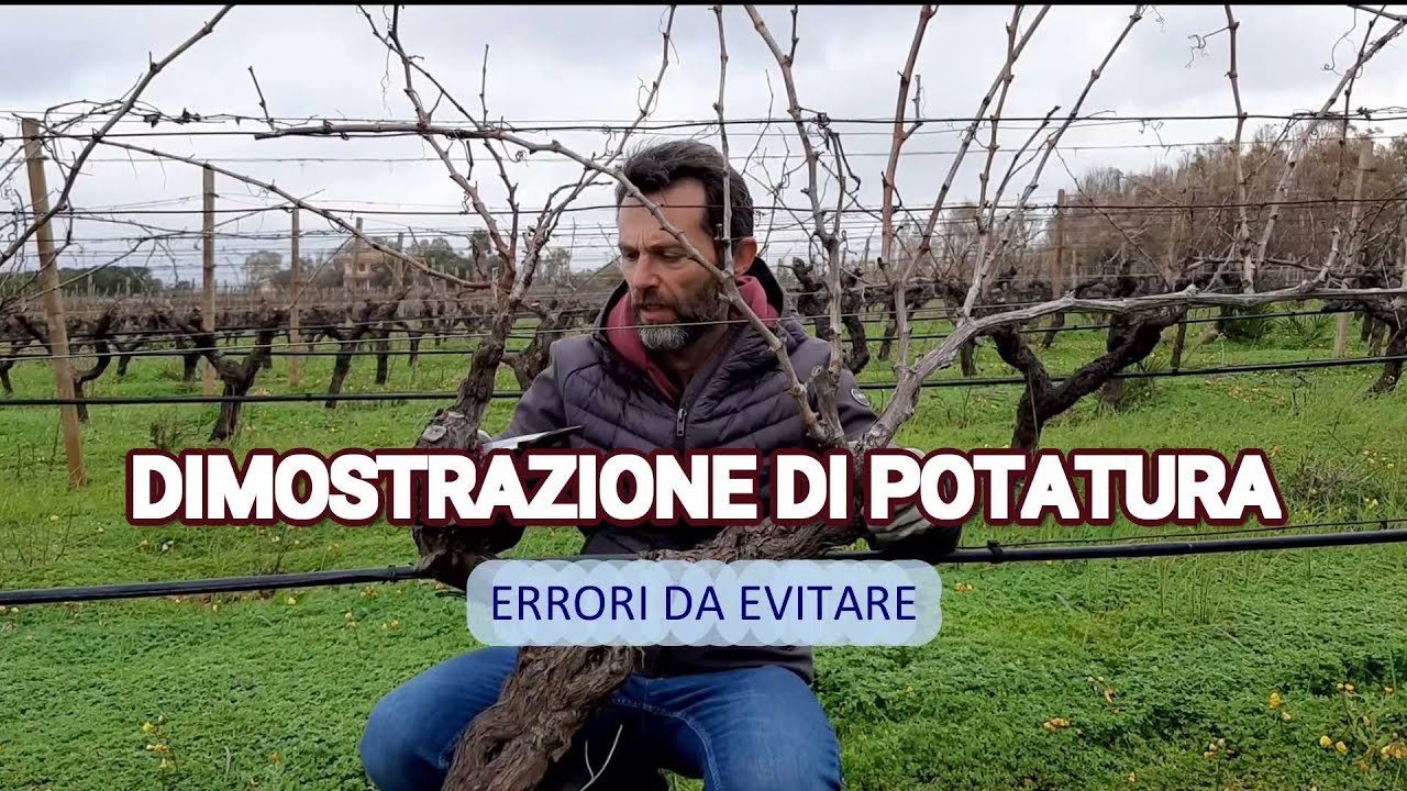 DIMOSTRAZIONE PRATICA DI POTATURA EP. 5: Errori da evitare.