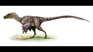 Sound Of Velociraptor Moniensis