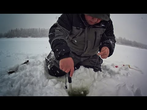 Зимняя рыбалка . Трофейный судак