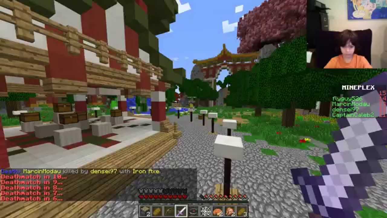 8 Year Old Wins Minecraft Hunger Games On The Mineplex Server Episode 6 Youtube