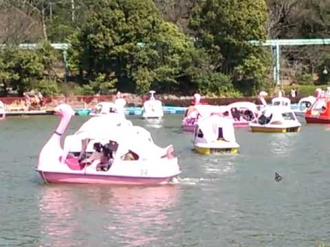 強風で流されていく東山動物園のボート Youtube