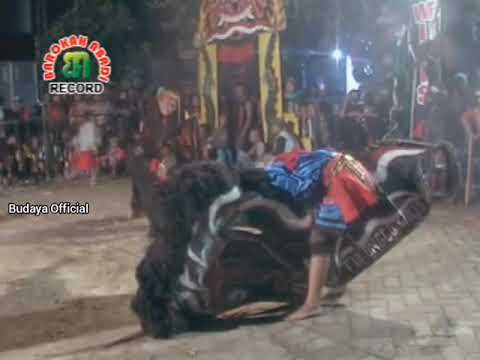 Turonggo Wilis pokemon vol 16