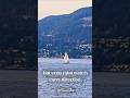 Sailing Through | Stanley Park 🇨🇦
